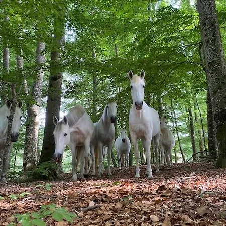 Daire Domaine De Linars ☆ L'etage Du Chateau ☆ *
