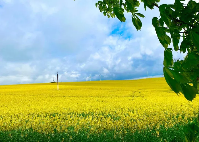 Domaine De Linars ☆ L'étage Du Château ☆